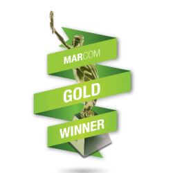 Dozens of Awards for Internationally Recognized Creative & Media Campaigns