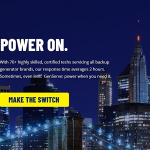 GenServe Inc Website Design